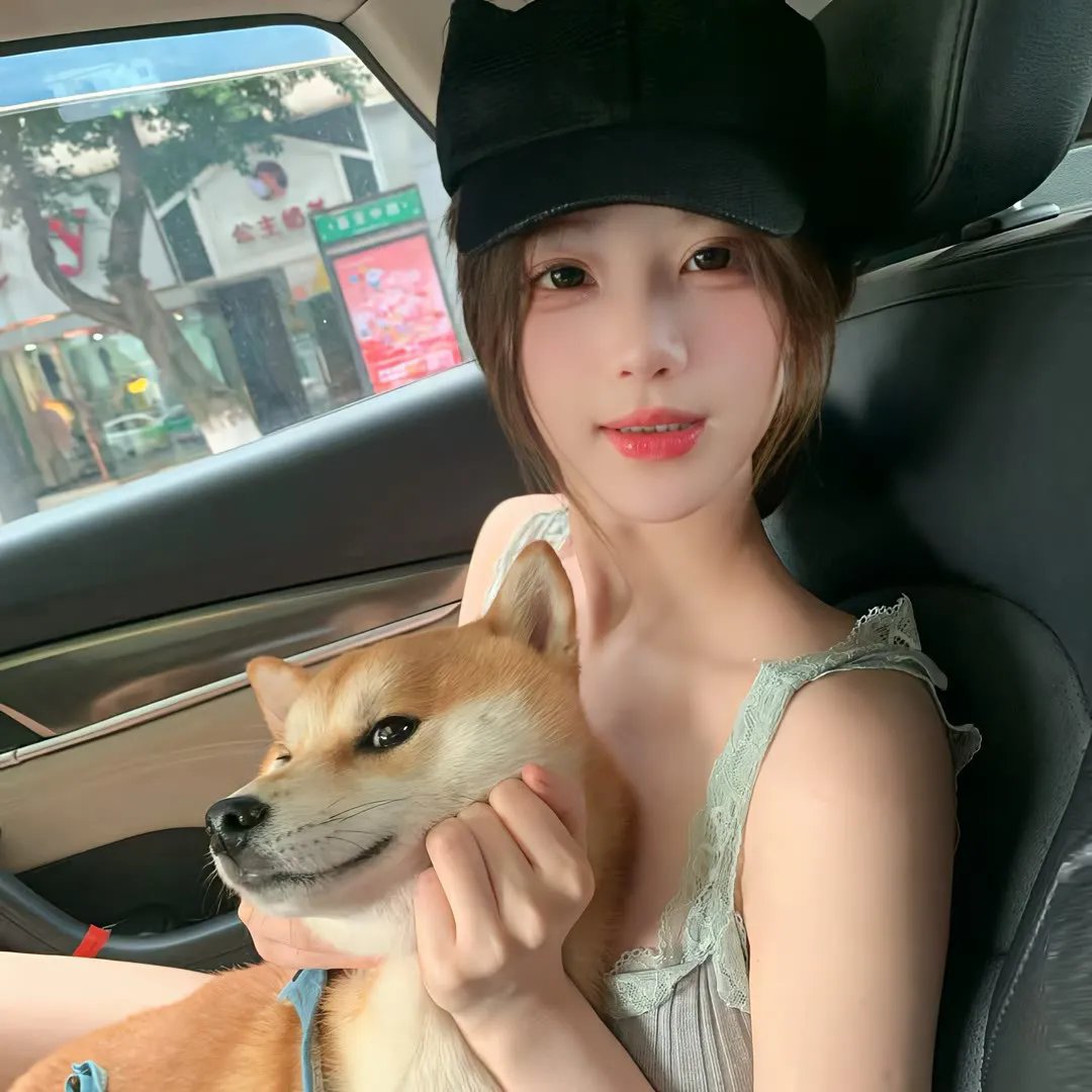 再见了,可鲁电影海报